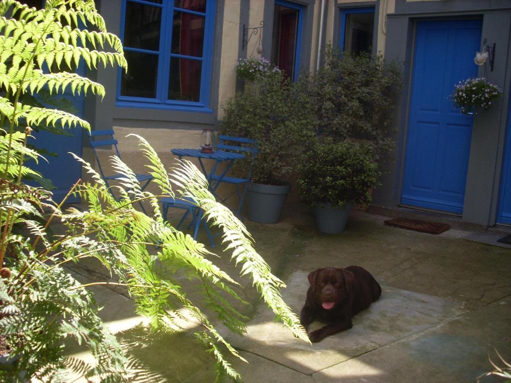 Reglisse Et Pain D'Epices - Chambres D'Hotes Honfleur Luaran gambar